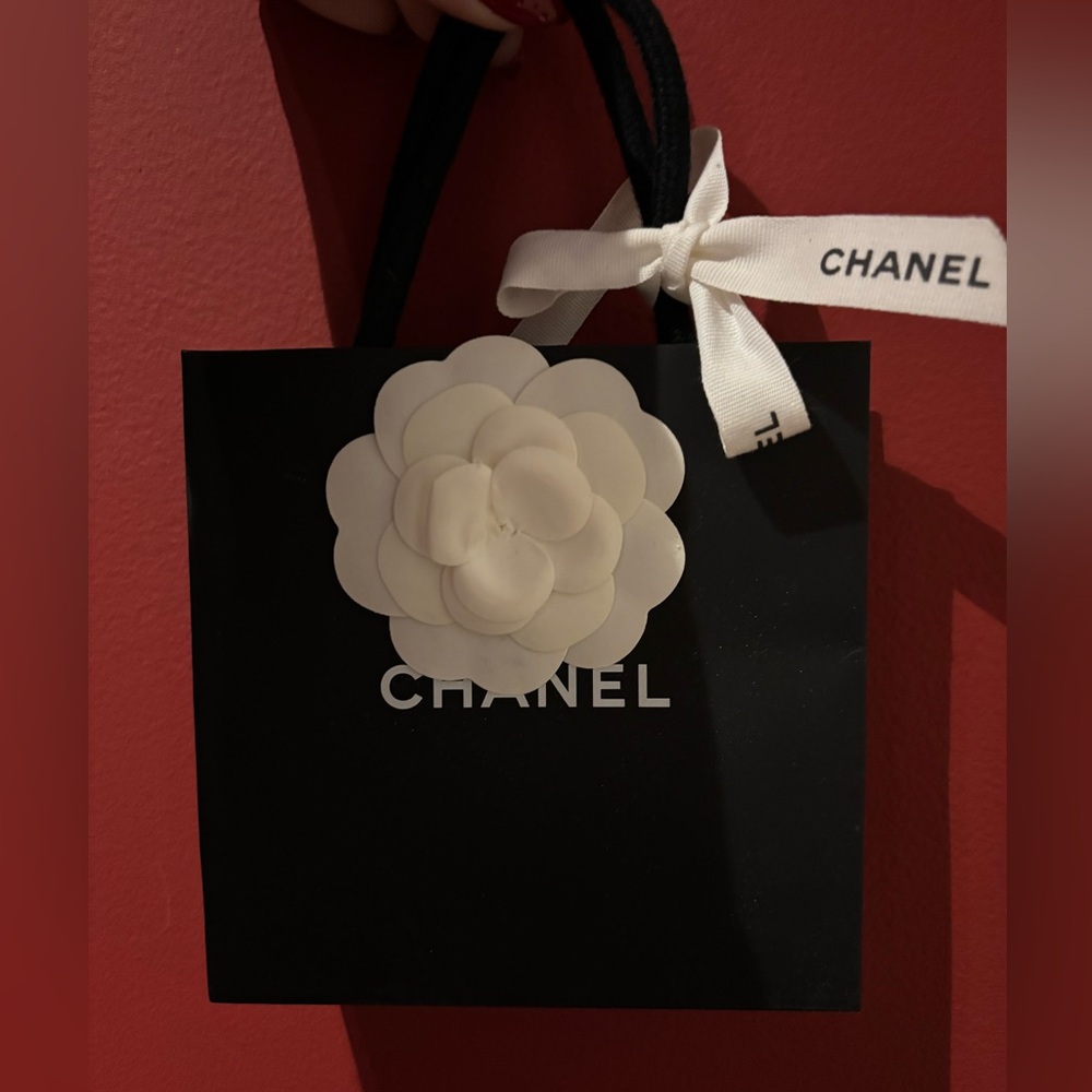 Authentic Chanel gift bag
